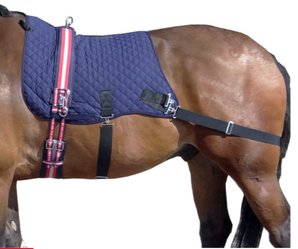 Horse Core Trainer Perth Saddle Centre