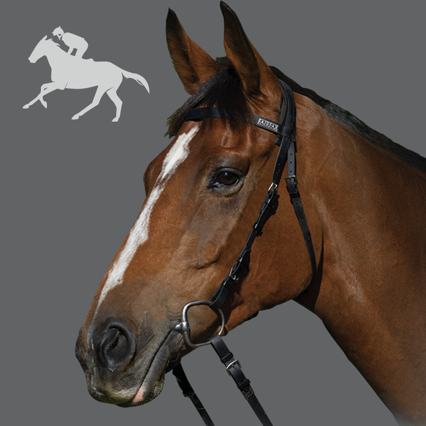 Fairfax bridle deals